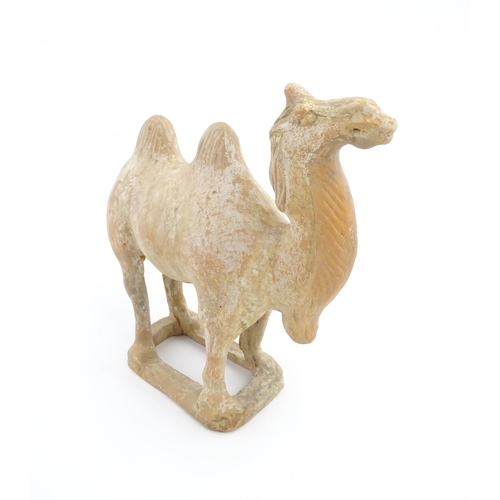 1027 - A Chinese Tang dynasty pottery model of a camel. Approx. 11 1/2