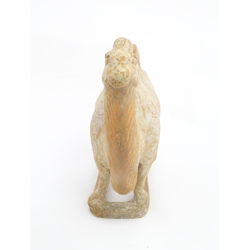 1027 - A Chinese Tang dynasty pottery model of a camel. Approx. 11 1/2