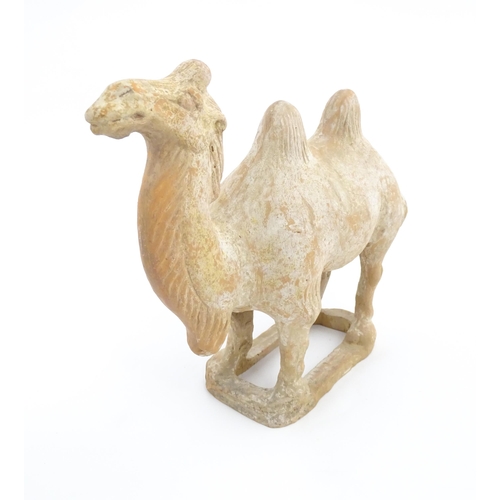 1027 - A Chinese Tang dynasty pottery model of a camel. Approx. 11 1/2