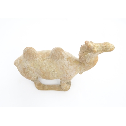 1027 - A Chinese Tang dynasty pottery model of a camel. Approx. 11 1/2