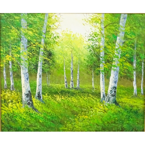 1864 - 20th century, Oil on canvas, A wooded landscape with silver birch trees. Signed with initials A. O. ... 