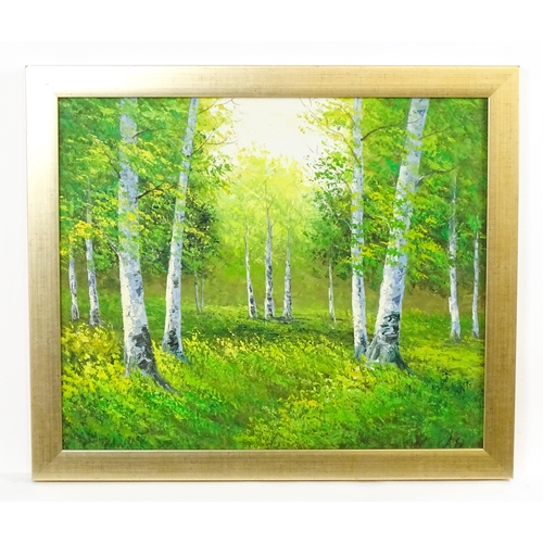 1864 - 20th century, Oil on canvas, A wooded landscape with silver birch trees. Signed with initials A. O. ... 