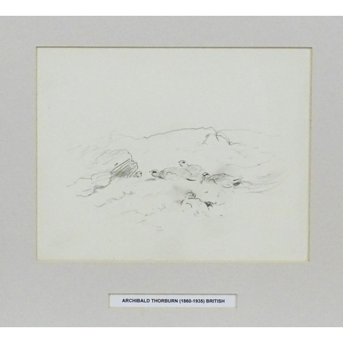 1945 - Archibald Thorburn (1860-1935), Pencil sketch, A study of a landscape with grouse birds. Approx. 6 1... 