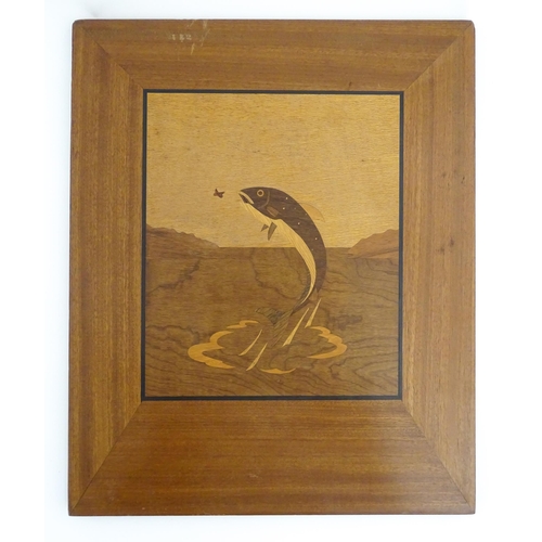 1095 - A 20thC Rowley Gallery style marquetry panel depicting a leaping fish. Approx. 16 1/2