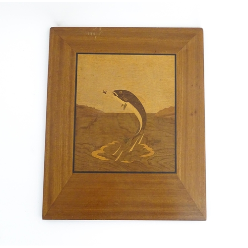 1095 - A 20thC Rowley Gallery style marquetry panel depicting a leaping fish. Approx. 16 1/2