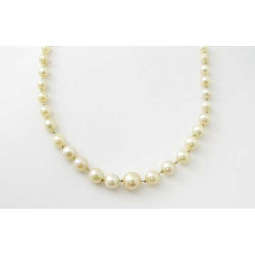 589 - A graduated pearl necklace with a 9ct gold clasp set with pearls and garnet. Approx. 17