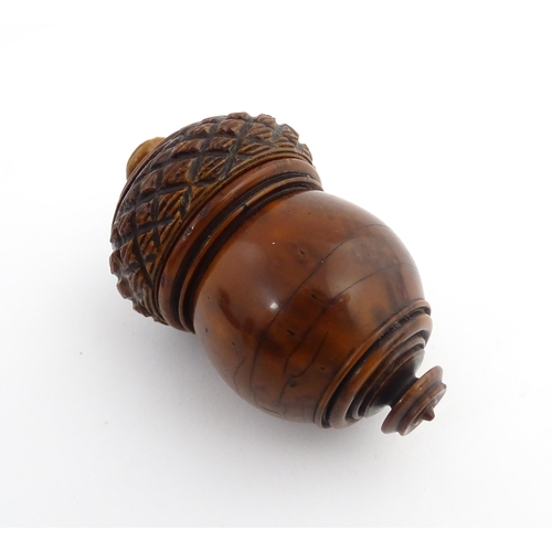 1176 - Treen : A 19thC carved coquilla nut nutmeg grater modelled as an acorn. Approx. 3