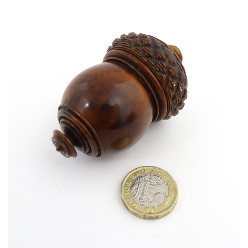 1176 - Treen : A 19thC carved coquilla nut nutmeg grater modelled as an acorn. Approx. 3