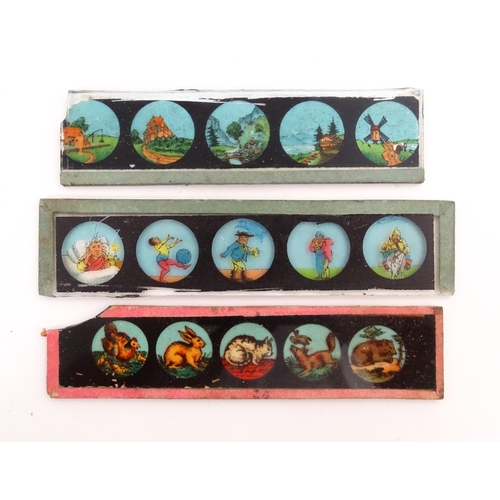 1215 - A quantity of 20thC magic lantern slides to include animals, landscapes, figures, humorous character... 