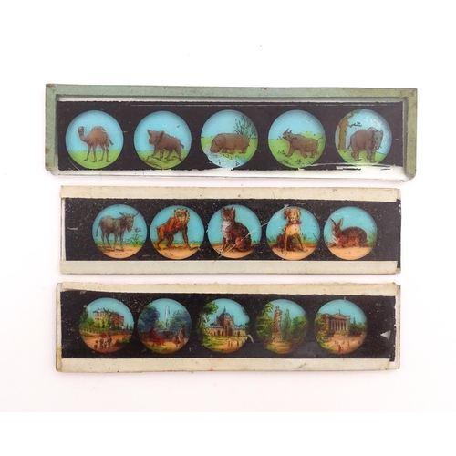 1215 - A quantity of 20thC magic lantern slides to include animals, landscapes, figures, humorous character... 