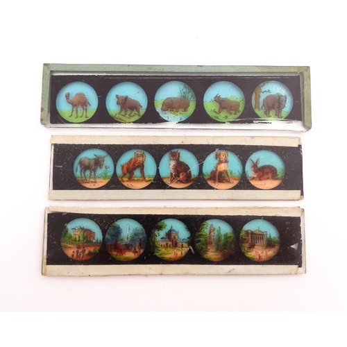 1215 - A quantity of 20thC magic lantern slides to include animals, landscapes, figures, humorous character... 