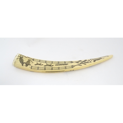 1227 - An Inuit walrus tusk cribbage board with scrimshaw decoration depicting walrus, sled, fish, birds, f... 