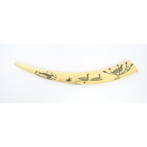 1227 - An Inuit walrus tusk cribbage board with scrimshaw decoration depicting walrus, sled, fish, birds, f... 