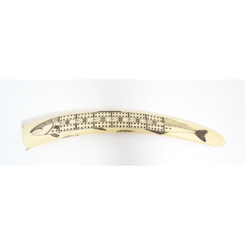 1228 - An Inuit walrus tusk cribbage board with scrimshaw decoration depicting walrus, polar bead, fish, et... 