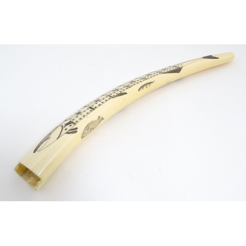 1228 - An Inuit walrus tusk cribbage board with scrimshaw decoration depicting walrus, polar bead, fish, et... 