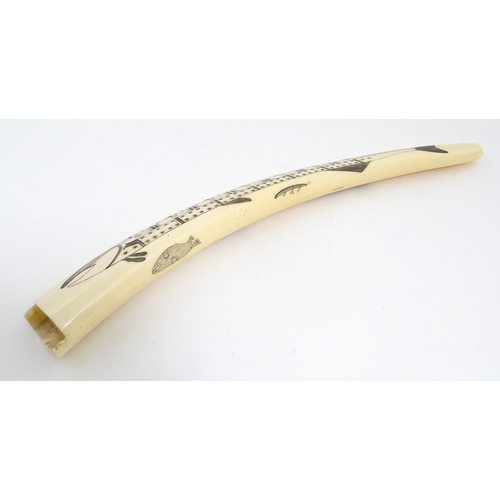 1228 - An Inuit walrus tusk cribbage board with scrimshaw decoration depicting walrus, polar bead, fish, et... 