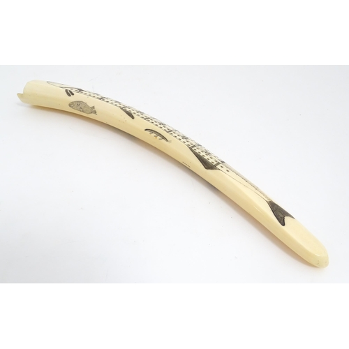 1228 - An Inuit walrus tusk cribbage board with scrimshaw decoration depicting walrus, polar bead, fish, et... 