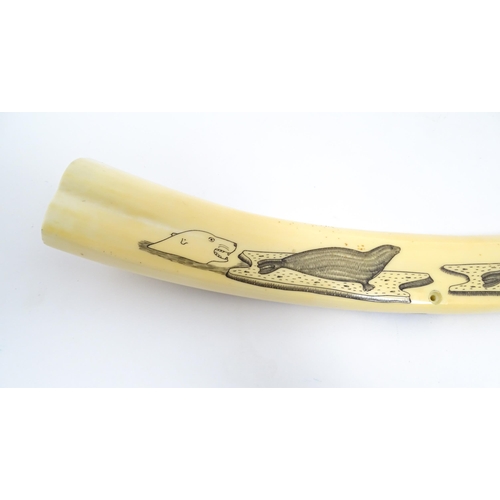 1228 - An Inuit walrus tusk cribbage board with scrimshaw decoration depicting walrus, polar bead, fish, et... 