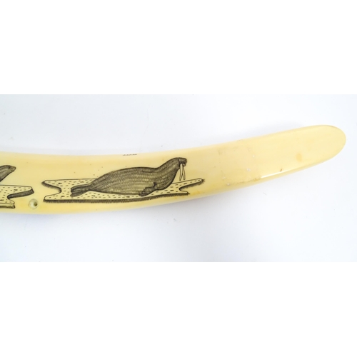 1228 - An Inuit walrus tusk cribbage board with scrimshaw decoration depicting walrus, polar bead, fish, et... 