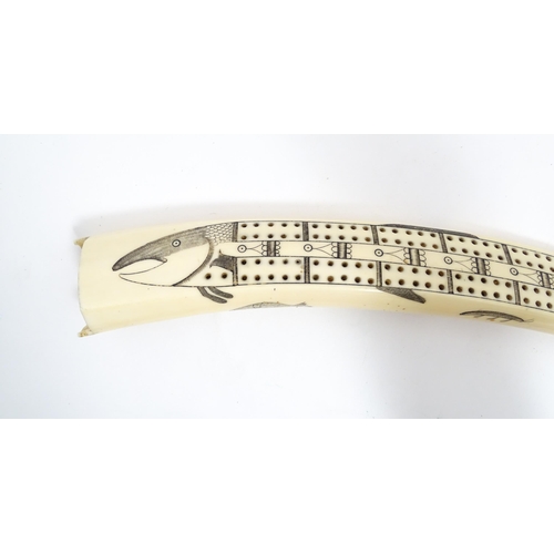 1228 - An Inuit walrus tusk cribbage board with scrimshaw decoration depicting walrus, polar bead, fish, et... 