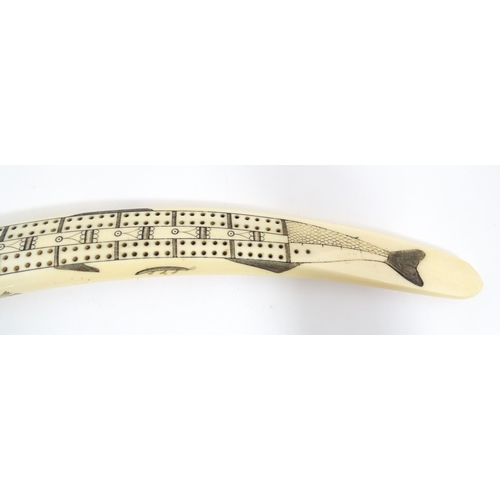 1228 - An Inuit walrus tusk cribbage board with scrimshaw decoration depicting walrus, polar bead, fish, et... 