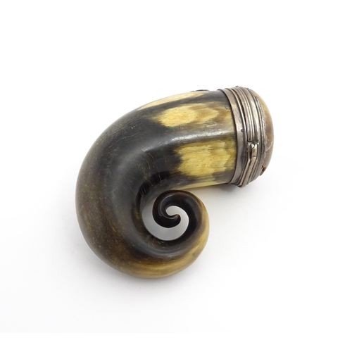 1254 - A 19thC Scottish rams horn snuff mull with white metal mounts, thistle detail and set with agate har... 