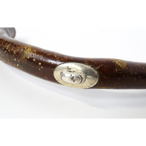 1295 - An early 20thC Brigg walking stick / cane with hallmarked silver collar, with concealed silver handl... 