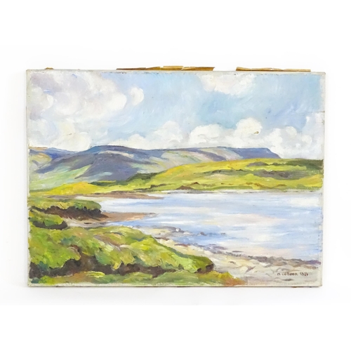 1791 - M. Cooper, 20th century, Irish School, Oil on canvas, A lake landscape scene in County Sligo, Irelan... 