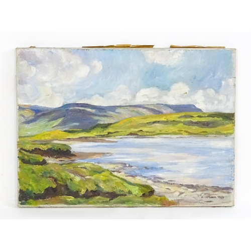 1791 - M. Cooper, 20th century, Irish School, Oil on canvas, A lake landscape scene in County Sligo, Irelan... 