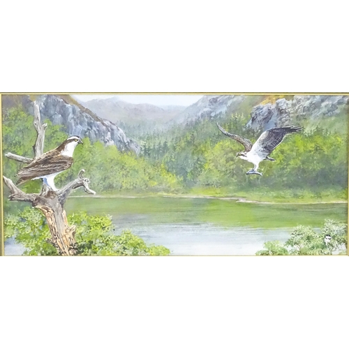 1792 - 20th century, Scottish School, Oil on board, A lake landscape with two Osprey birds, one with a fish... 