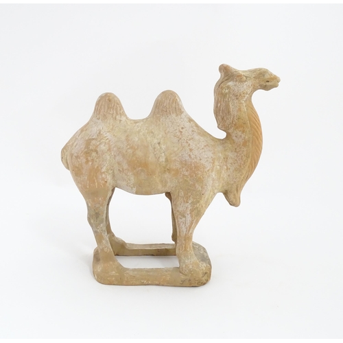 1027 - A Chinese Tang dynasty pottery model of a camel. Approx. 11 1/2