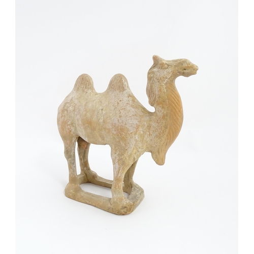 1027 - A Chinese Tang dynasty pottery model of a camel. Approx. 11 1/2