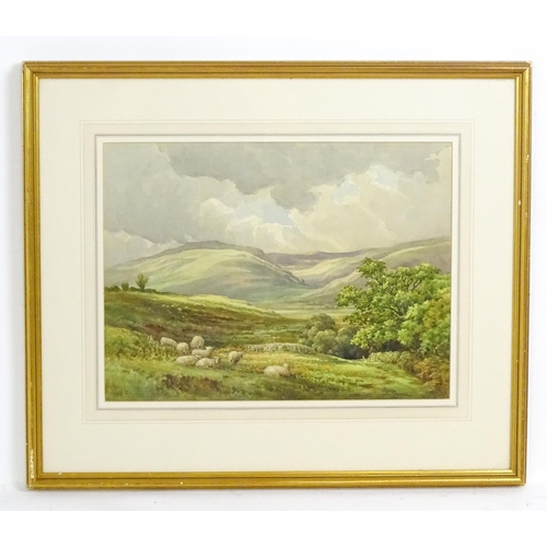 1917 - George Cooper, 20th century, Watercolour, A Welsh landscape with sheep. Signed lower right. Approx. ... 