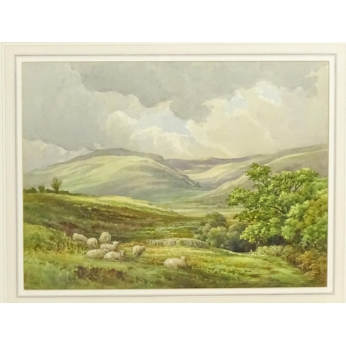 1917 - George Cooper, 20th century, Watercolour, A Welsh landscape with sheep. Signed lower right. Approx. ... 