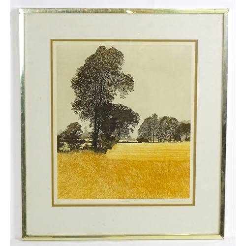 1976 - Philip Greenwood (b. 1943), Limited edition etching and aquatint, Grasswalk. Signed, titled and numb... 