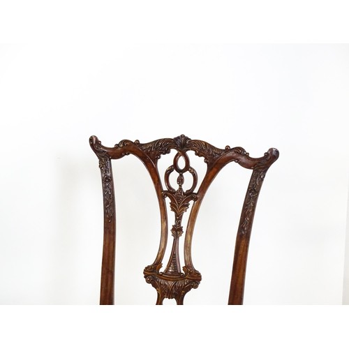 21 - A pair of late 20thC mahogany Chippendale style chairs with acanthus carved frames and raised on car... 