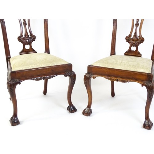 21 - A pair of late 20thC mahogany Chippendale style chairs with acanthus carved frames and raised on car... 