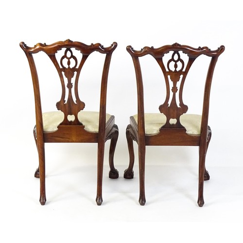 21 - A pair of late 20thC mahogany Chippendale style chairs with acanthus carved frames and raised on car... 