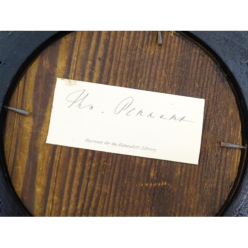 329 - A pair of early 20thC ebonised frames of oval form. Together with a ebonised frame of circular form.... 