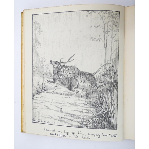 625 - Books: Five assorted books comprising Argh The Tale of a Tiger by M. E. Buckingham, 1936; Stories fr... 