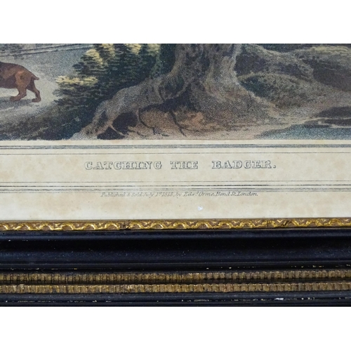 638 - Mathew Dubourg, Ater Franz Joseph Manskirch (1768-1830), Colour aquatint, Catching the Badger, from ... 