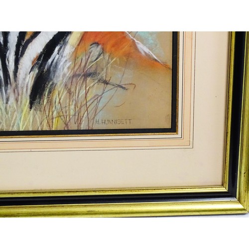 659 - M. Hunnisett, 20th century, Pastels on paper, A study of a tiger. Signed lower right. Approx. 19 3/4... 