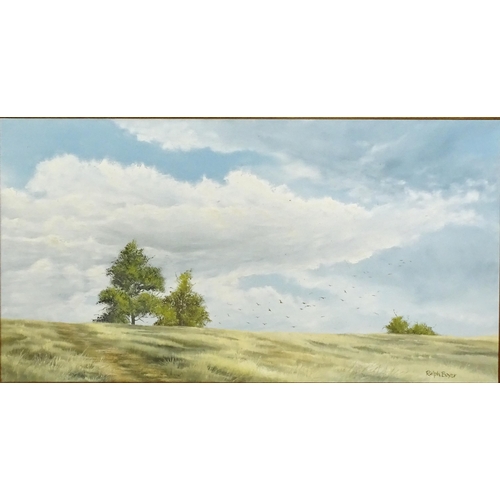 796 - Ralph Boyer, 20th century, Oil on canvas, A landscape scene with birds in flight. Signed lower right... 