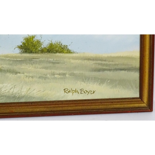 796 - Ralph Boyer, 20th century, Oil on canvas, A landscape scene with birds in flight. Signed lower right... 