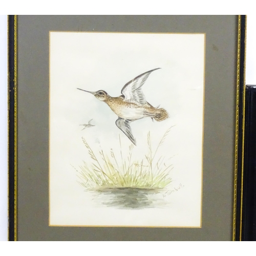 799 - Early 20th century, Watercolour, A study of a kingfisher in flight with a fish in its beak. Signed w... 