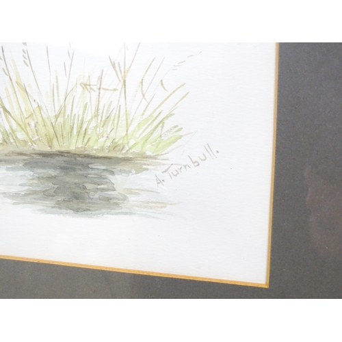 799 - Early 20th century, Watercolour, A study of a kingfisher in flight with a fish in its beak. Signed w... 