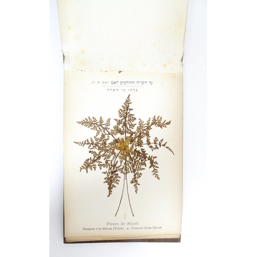 809 - A quantity of assorted items to include a souvenir album of Jerusalem with Flowers of the Holy Land ... 