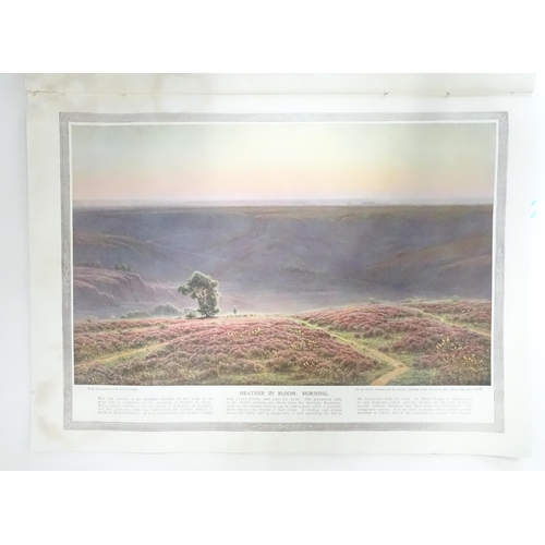 354 - A quantity of assorted ephemera to include a Bibby's Annual 1917, a quantity of Guernsey Evening pre... 