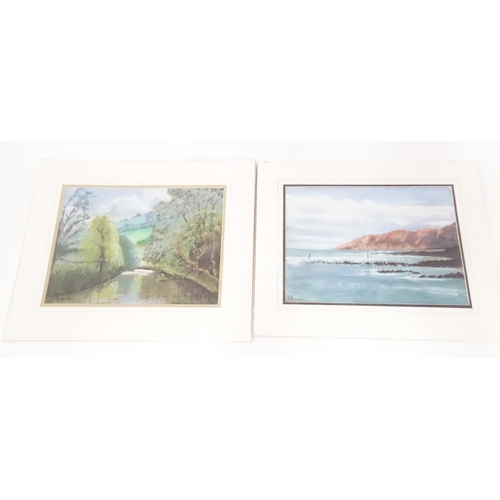 658 - Susan Acworth, Pastels, Two landscape scenes comprising 'Pembrokeshire Coast', and 'Weeping Willow.'... 