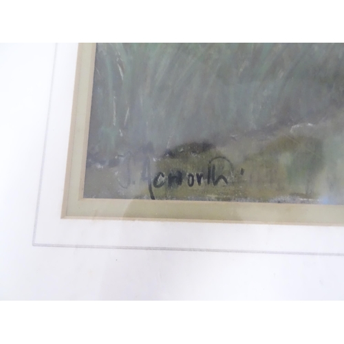 658 - Susan Acworth, Pastels, Two landscape scenes comprising 'Pembrokeshire Coast', and 'Weeping Willow.'... 